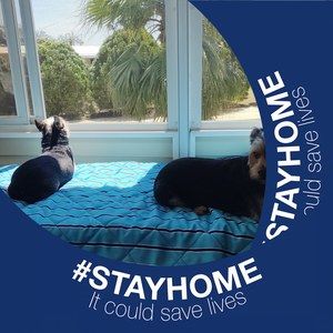 Meet your Posher, Audrey